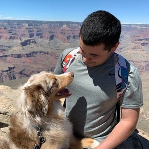 Meet your Posher, Manuel